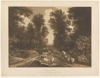 A Wood Scene