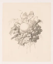 Composition of Fruits