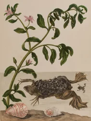 Illustration from 