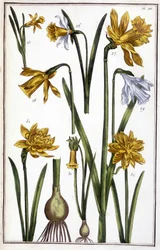 Unknown Image