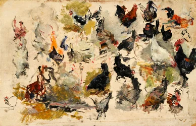 Roosters Study