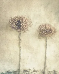 Rustic Dried Flowers
