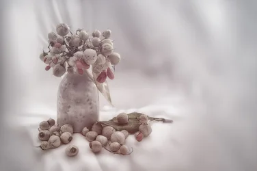 Soft Berry Still Life