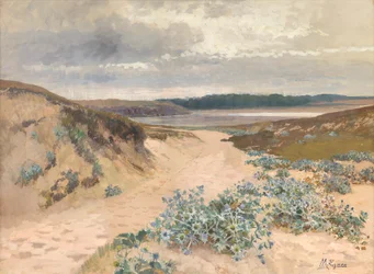 Dune Landscape in Brittany