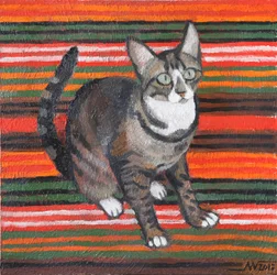 Tabby on Stripes