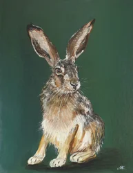 Brown Hare Portrait
