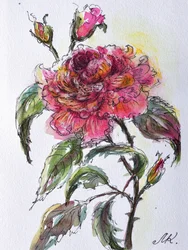 Watercolor Rose Bloom
