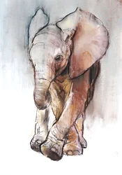 Baby Elephant 2, Loisaba