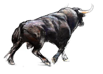 Bull