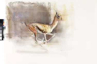 Desert Wind (Arabian Gazelle), 2010