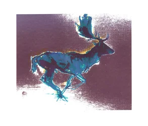 Fallow Buck (Blueyellow Shadow)