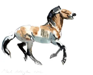 Greek (Przewalski)