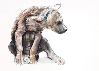Hyaena Pup (profile)