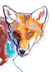 Intelligent Eyes