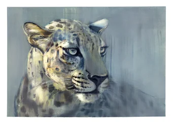 Predator II (Arabian Leopard), 2009