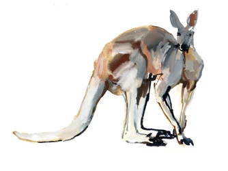 Roo (Red Kangaroo), 2012
