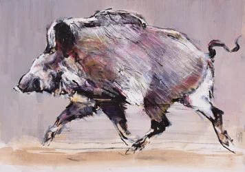 Running Boar