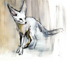 Sand Fox, 2009
