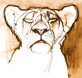 Sepia Cub