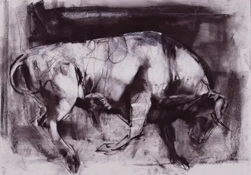 The White Bull (study), 1998