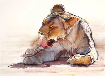 Tongue Bath, 2019