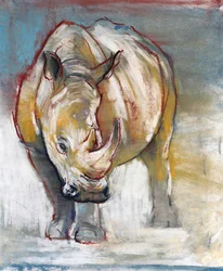 White Rhino, Ol Pejeta, 2018