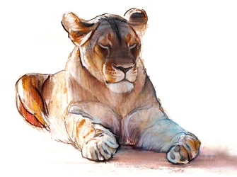 Yogi Lioness, 2019