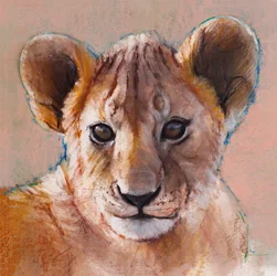 Youngest Cub, Masai Mara, 2019