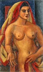The Sari