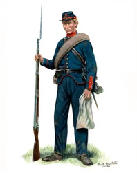 79th New York State Militia Soldier 1861, 2024