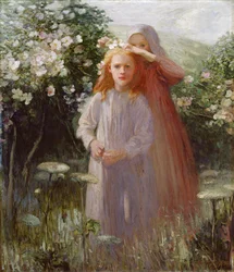 Wild Roses