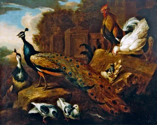 Peacocks, Doves and Other Birds and a Classical Building
