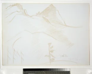 Mountain Landscape with Pine Trees