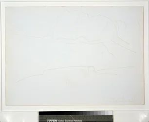 Mountain Landscape with Trees