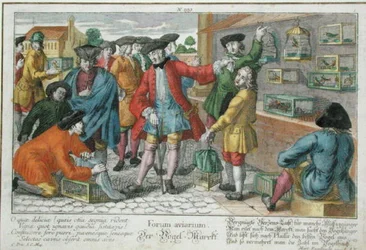 Bird Market