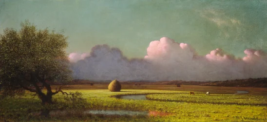 Sunlight and Shadow: The Newbury Marshes, c. 1871-1875.