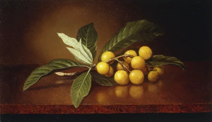 Tropical Plums