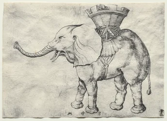 An Elephant with Howdah