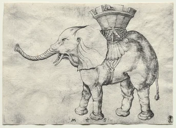 An Elephant with Howdah