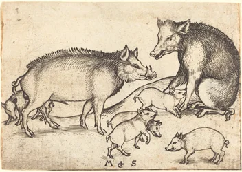 Family of Pigs
