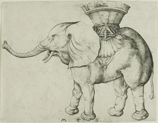 The Elephant