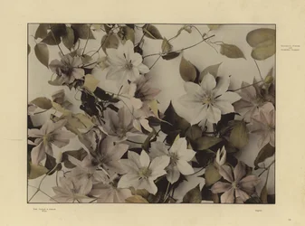 One of Martin Gerlach’s Festons und Decorative Gruppen