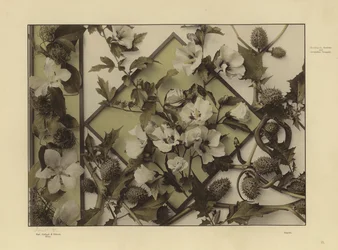 One of Martin Gerlach’s Festons and Decorative Groups