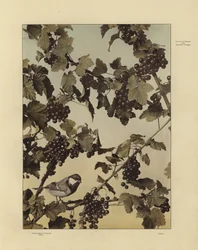One of Martin Gerlach’s Festons und Decorative Gruppen