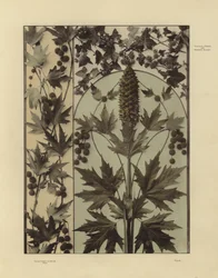 One of Martin Gerlach’s Festons und Decorative Gruppen