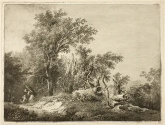 The Fallen Tree Trunk