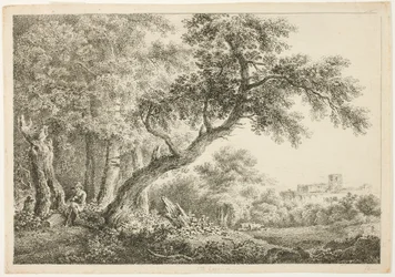 Wanderer Resting in the Forest