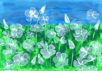 White Mallow