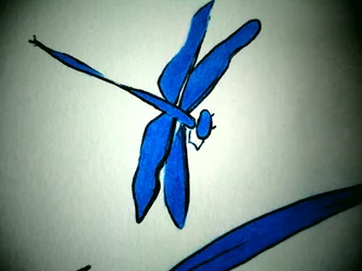 Dragonfly (Detail)
