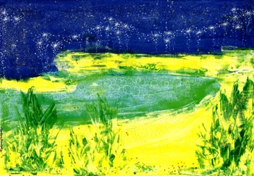 Starry Sky over the Lake